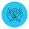 Pratique de développement organisationnel